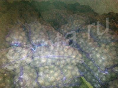 ���������, ������� �� ������