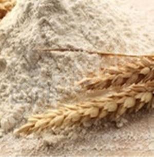 ���� ��������� 1 �����. �����, �������� � ������!