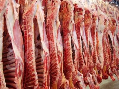 ��������, �������, �������� ������� �����