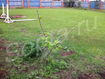 ��������� ������� � ����������� �������