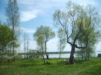 ������ ��� �� ������ �����