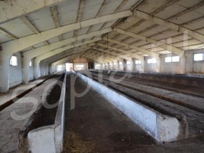 ������ �����/������������ �� ������������