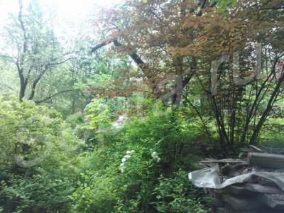 ������  ��������� ������� 17 ����� � 5 �� �� ����