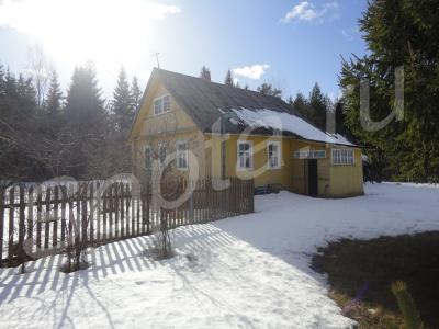 ������� ����, 100��. �.