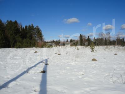 ������� ����, 100��. �.