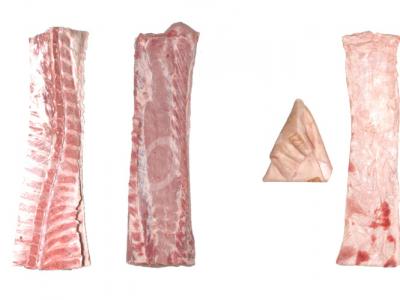 ��������, �������, �������� �����. �����