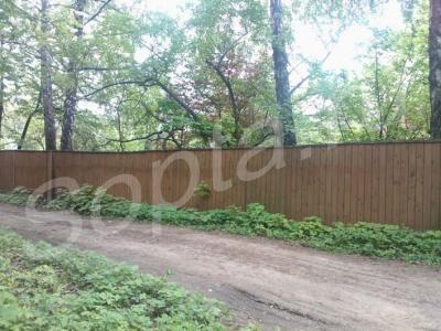 ������  ��������� ������� 17 �����, 5 �� �� ����