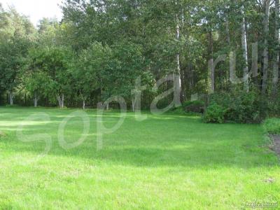 ���+15  ����� �� ������ �����