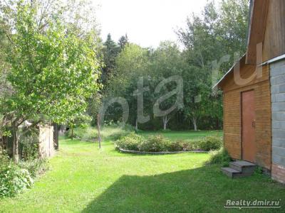 ���+15  ����� �� ������ �����