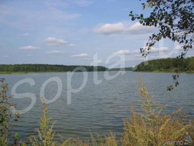 ���+15  ����� �� ������ �����