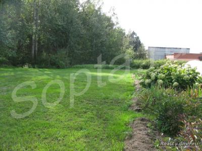 ���+15  ����� �� ������ �����