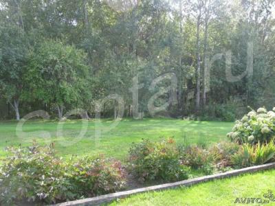 ���+15  ����� �� ������ �����