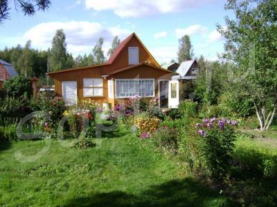 ���� 56 ��.�,  6 �����, ���������� �-�,  ���������