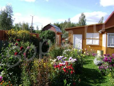 ���� 56 ��.�,  6 �����, ���������� �-�,  ���������