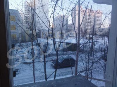 ������ 1-� �������� � �����������, 14 ���