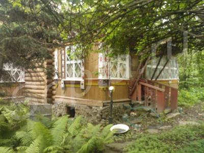 ������ ���������  ������� 17 �����, 5 �� �� ����