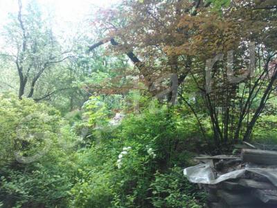 ������ ���������  ������� 17 �����, 5 �� �� ����