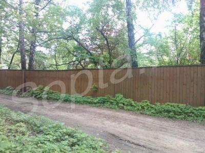 ������ ���������  ������� 17 �����, 5 �� �� ����