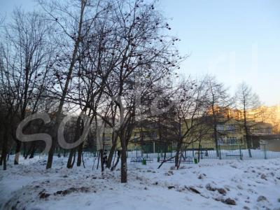 3� ��������� �������� �������