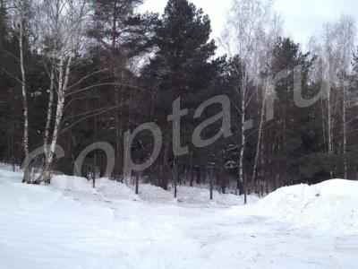 ������ ��� 900 ��. �.  ������� 25 �����