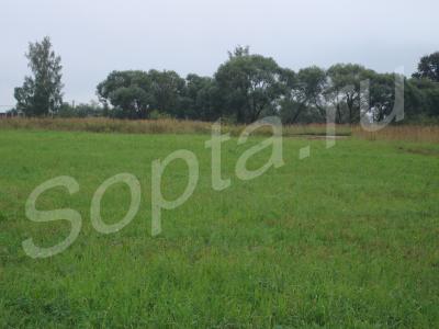 ������  ���������. ����� ������ �����