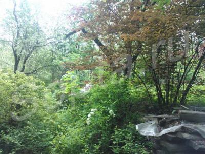 ������ ���������  ������� 17 �����, 5 �� �� ����