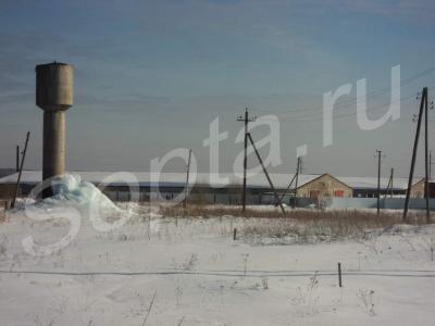 ������ �����, 3500 ��.�. ����. ���., �������. �-�