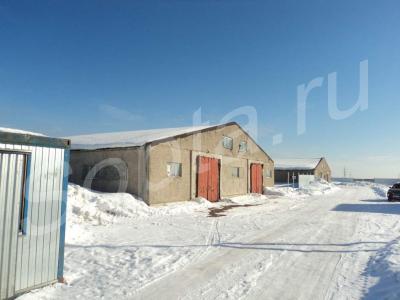 ������ �����, 3500 ��.�. ����. ���., �������. �-�