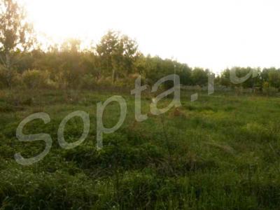 ��������� ������ ������� 10,7 ���., � ��������� 