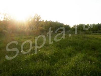 ��������� ������ ������� 10,7 ���., � ��������� 