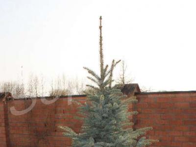 ������ ������� 240 ��.� � ����������� ������