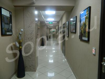 ���� ����, �������� 24�