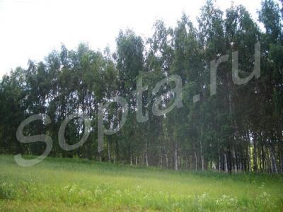 �������  18  �����. 49 �� �� ����