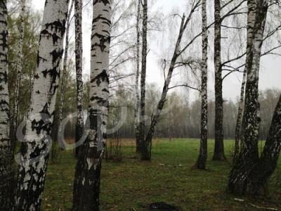 �������  18  �����. 49 �� �� ����