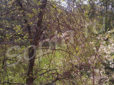 2-� �������� 45,1 � �� 2 ����� 5-����. ����.