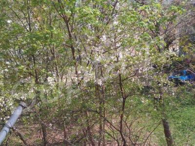 2-� �������� 45,1 � �� 2 ����� 5-����. ����.