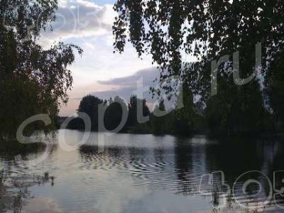 ������  ��������� �������, � ��������� ����