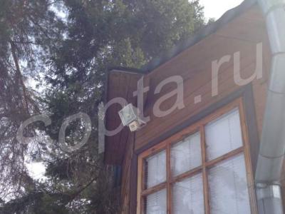 ������ ����� ���� ��� ����������