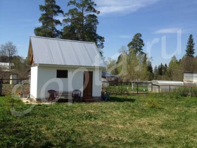 ������� 8,4 ����� �� ����� ���� (���) 55 ��.