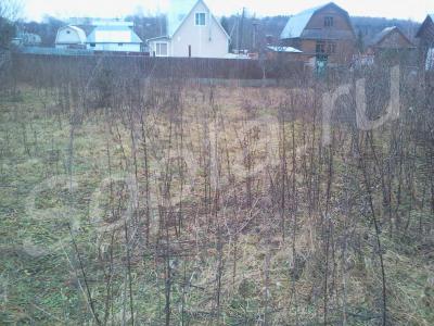 ����������� �. 25��. �� ���� ��������