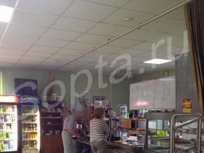 43 ����� �� ��������� ���� �� ������������