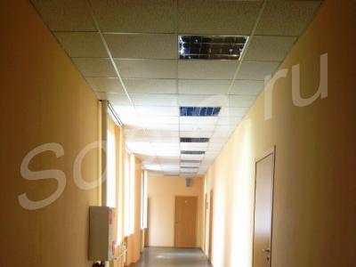 43 ����� �� ��������� ���� �� ������������