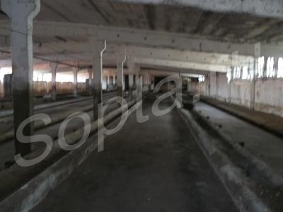 ���� ��������� ��� ������������