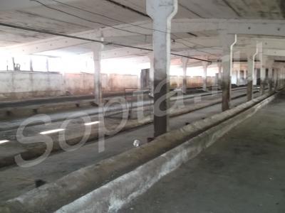 ���� ��������� ��� ������������