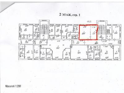 �����������, ���� ����, ������ �������