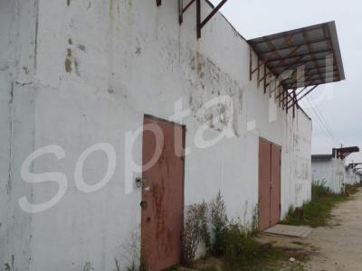 ������ ������, ���������������� ���������