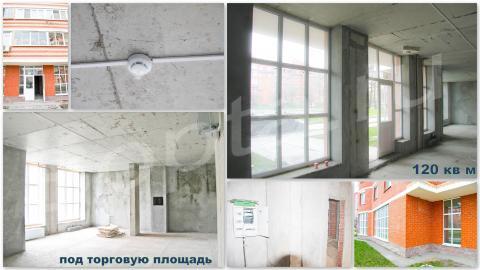 �������� ������ 50 �� .� .