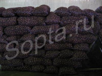 ��������� �����. ���!