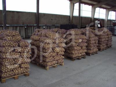 ��������� �����. ���!