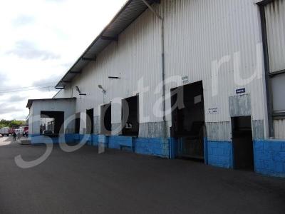 ����� ��������� ��� �����, ����������, ������������